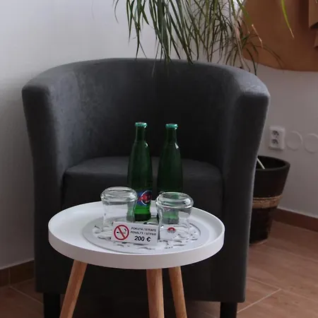 Mini-hôtel U Pidly